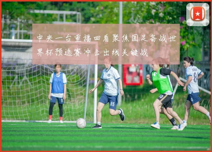 中央一台重播回看聚焦国足备战世界杯预选赛冲击出线关键战