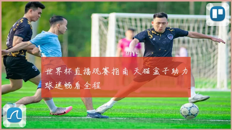 世界杯直播观赛指南 天猫盒子助力球迷畅看全程
