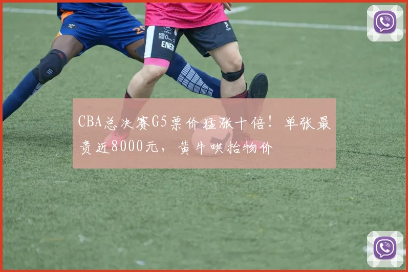 CBA总决赛G5票价猛涨十倍！单张最贵近8000元，黄牛哄抬物价